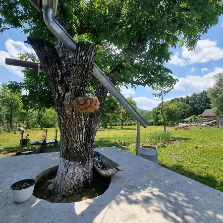 Casa Primitoare In Inima Naturii Si Padurii * Rasca (Suceava)